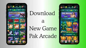 PAK Arcade Game